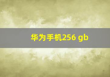 华为手机256 gb